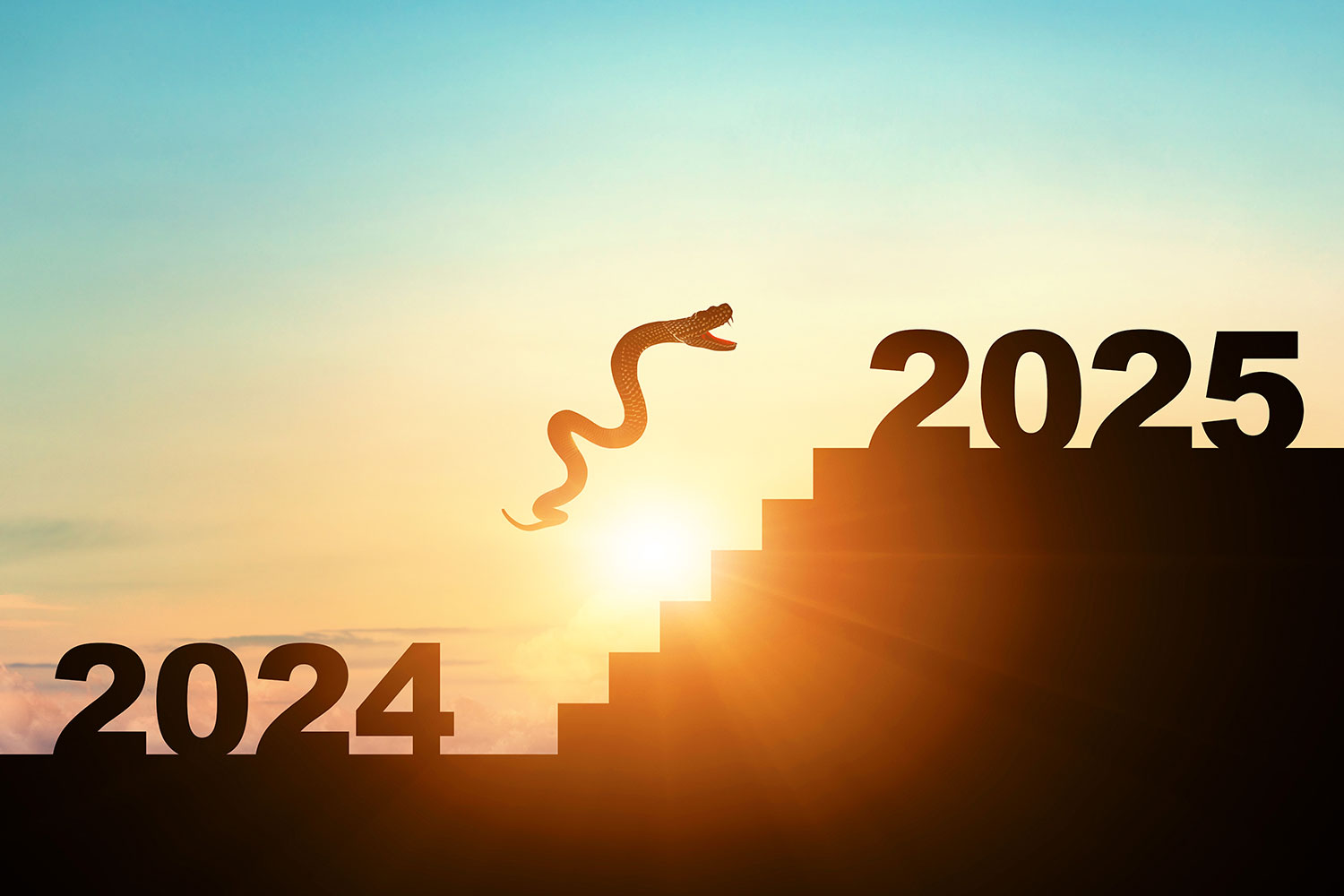 2024年から2025年へ